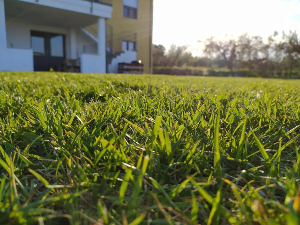 Natura E Mente Camere E Relax Vasto Εξωτερικό φωτογραφία