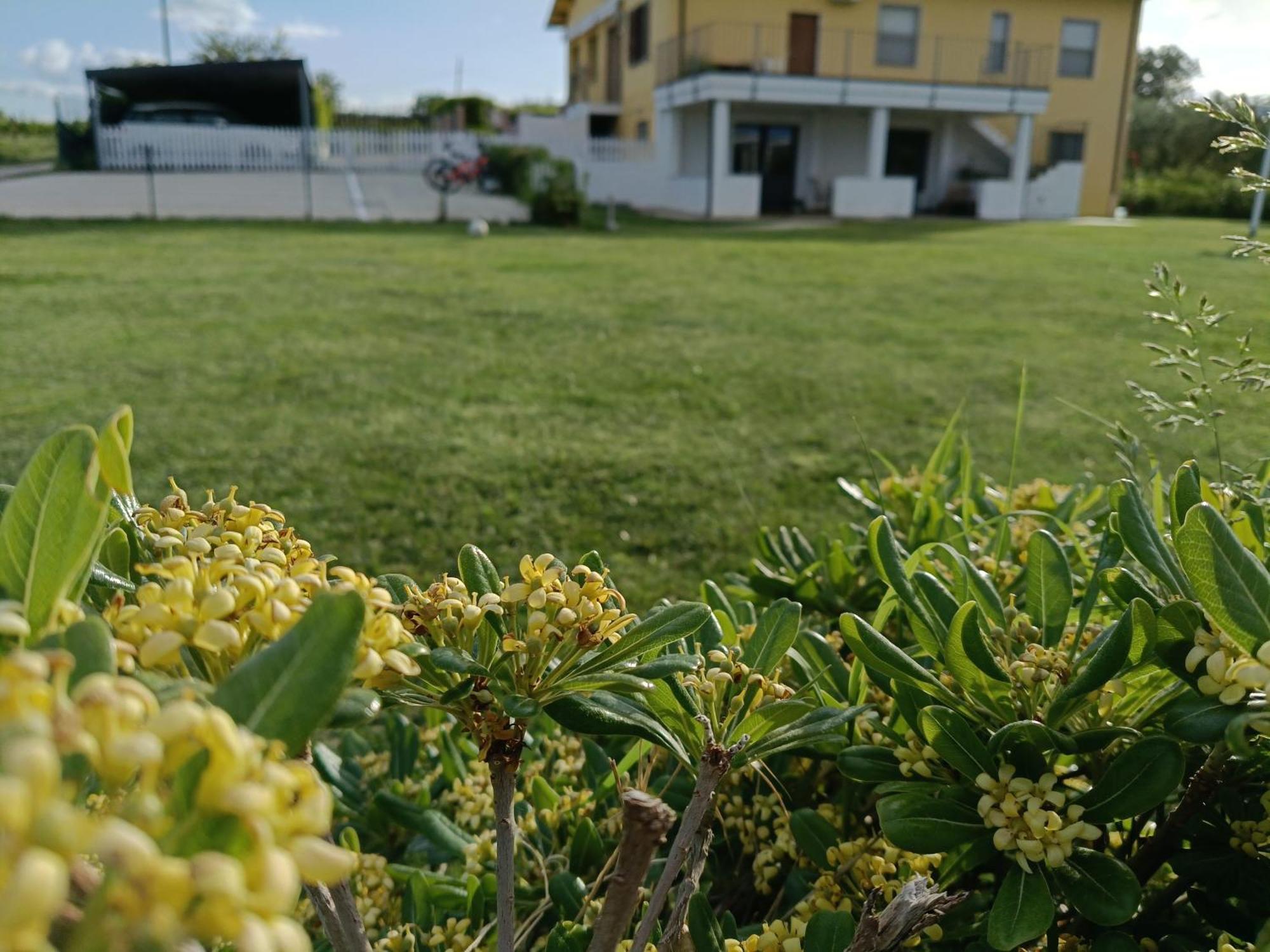 Natura E Mente Camere E Relax Vasto Εξωτερικό φωτογραφία